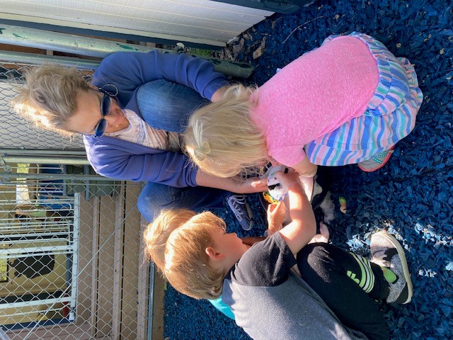 teaching